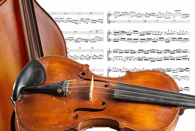 violin 5